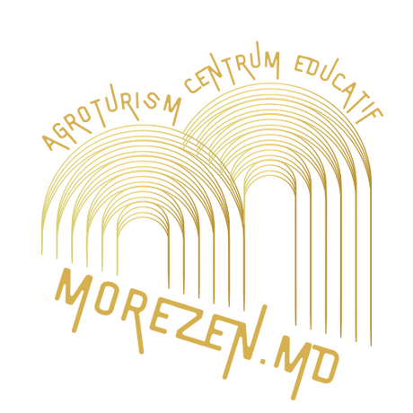 logo_morezen